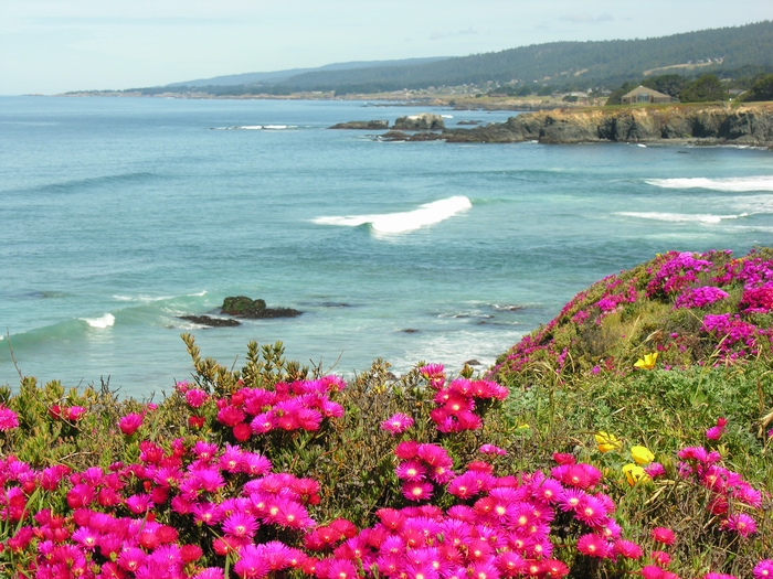 Sea Ranch views