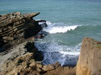 Sea Ranch bluff